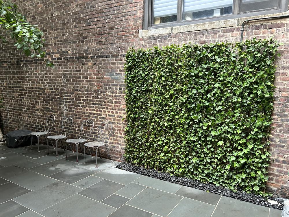 Rear Yard