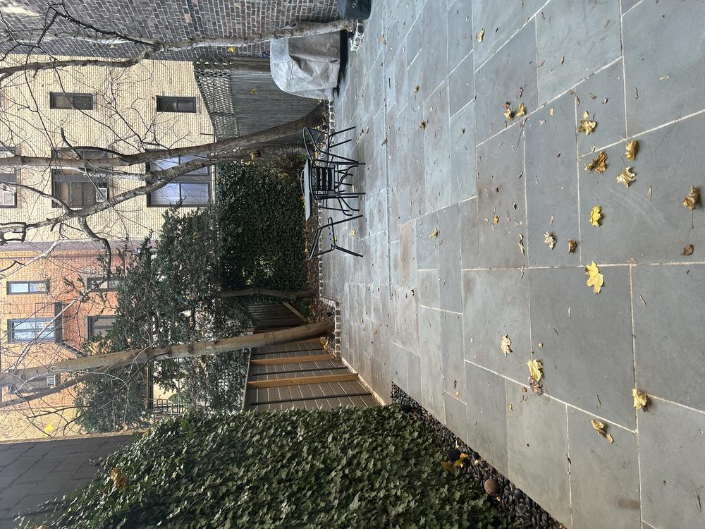 Rear Yard