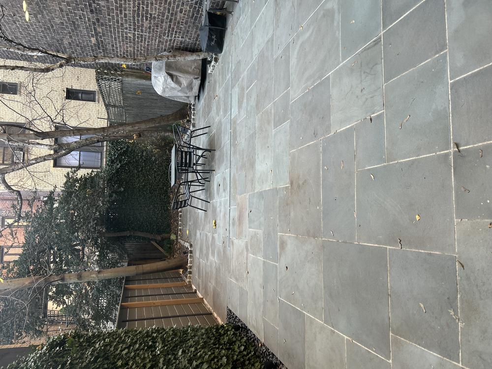 Rear Yard